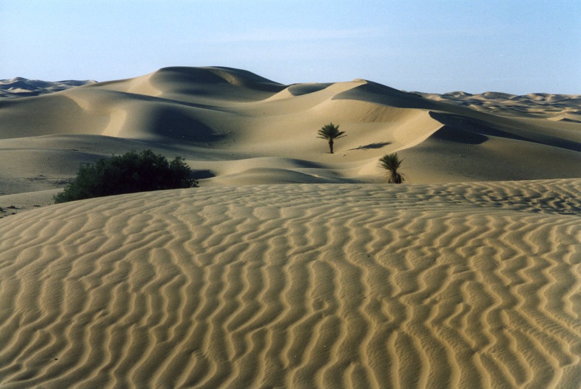 Le dune di Timimoun